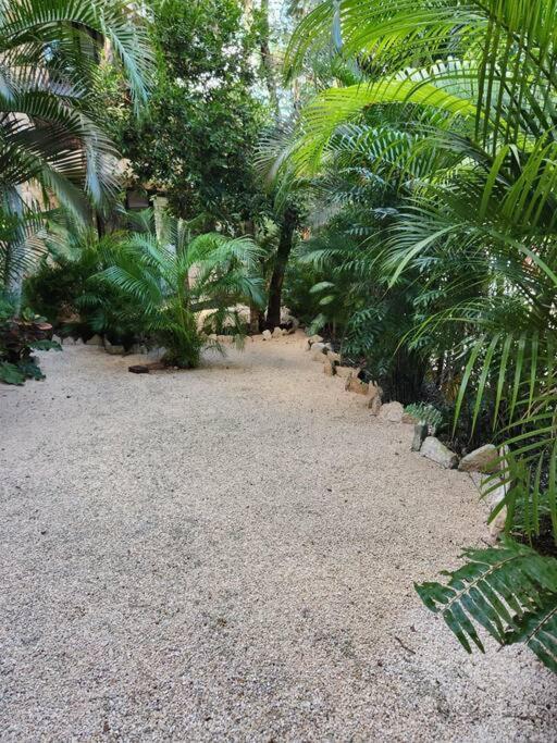 Apartment With Private Pool Tulum Chemuyil Εξωτερικό φωτογραφία