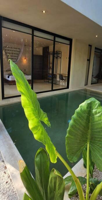 Apartment With Private Pool Tulum Chemuyil Εξωτερικό φωτογραφία